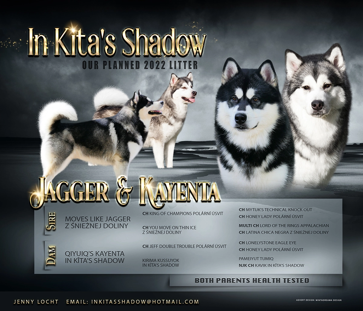 Jagger & Kayenta Litter 2023